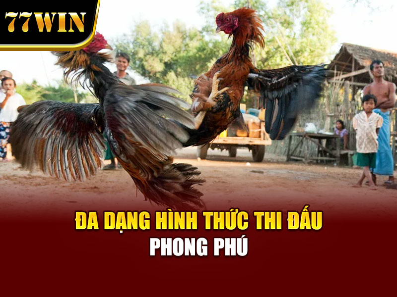 Đa dạng hình thức thi đấu phong phú