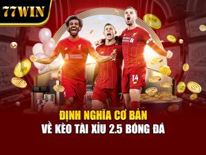 Định nghĩa cơ bản về kèo tài xỉu 2.5 bóng đá