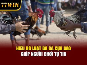 Hiểu rõ luật đá gà cựa dao giúp người chơi tự tin