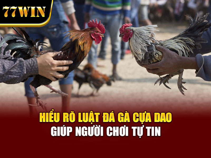 Hiểu rõ luật đá gà cựa dao giúp người chơi tự tin