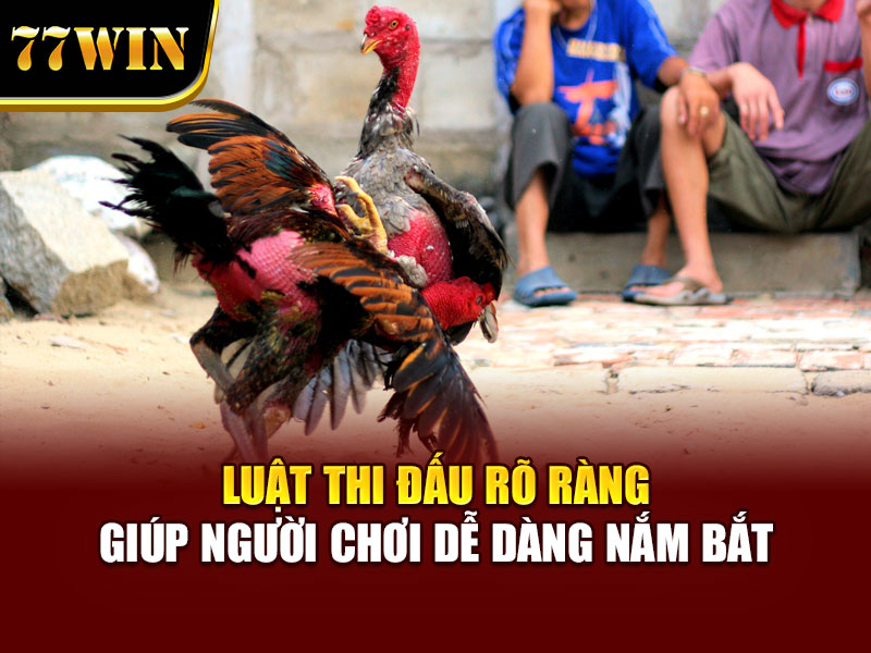 Luật thi đấu rõ ràng giúp người chơi nắm bắt