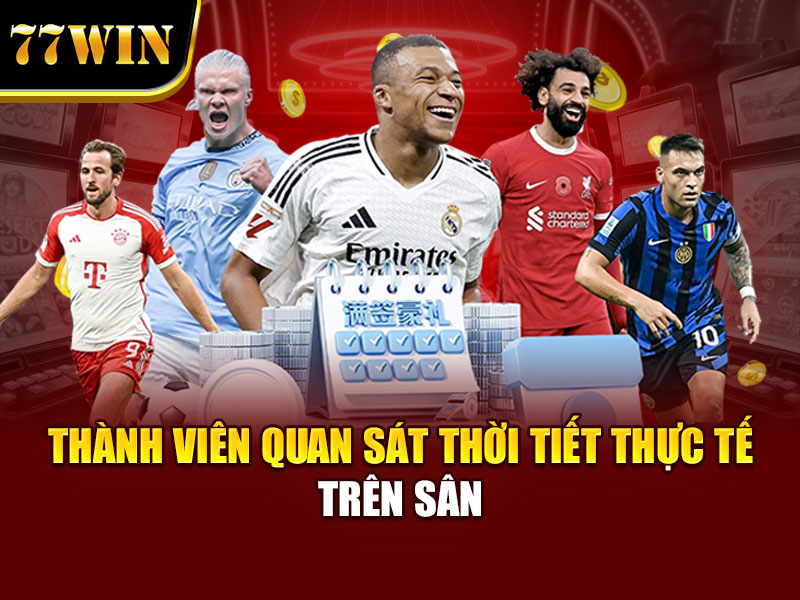 Thành viên quan sát thời tiết thực tế trên sân